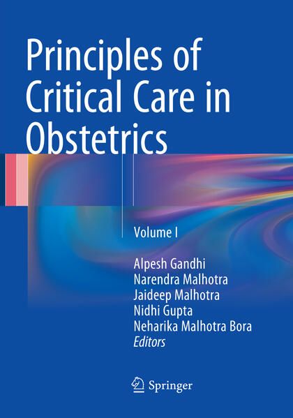Produktbild: Principles of Critical Care in Obstetrics