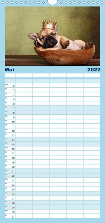 Produktbild: Bullys - Franz&ouml;sische Bulldoggen 2022 - Familienplaner hoch (Wandkalender 2022 , 21 cm x 45 cm, hoch)