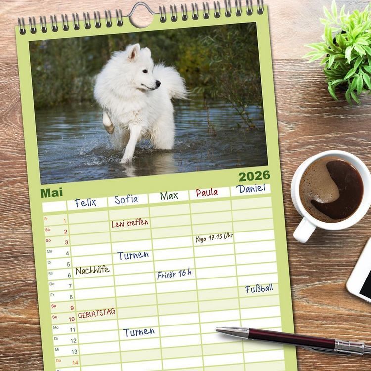 Produktbild: Familienplaner 2026 - Der Samojede - Sch&ouml;nheit des Nordens mit 5 Spalten (Wandkalender, 21 x 45 cm) CALVENDO