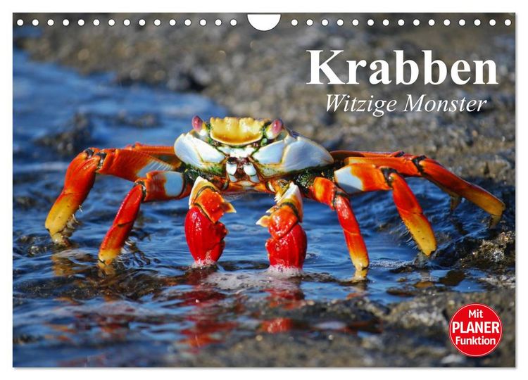 Produktbild: Krabben. Witzige Monster (Wandkalender 2026 DIN A4 quer), CALVENDO Monatskalender