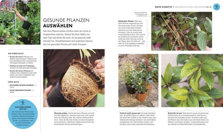 Produktbild: So geht Garten