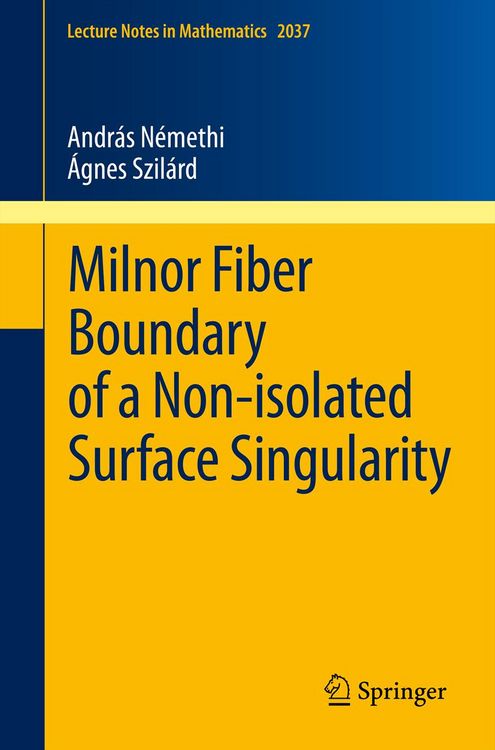 Produktbild: Milnor Fiber Boundary of a Non-isolated Surface Singularity
