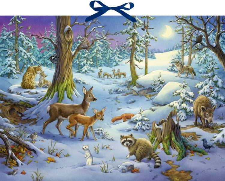 Bild vom Artikel Sound-Adventskalender - Hört ihr die Tiere im Winterwald? vom Autor Ute Simon