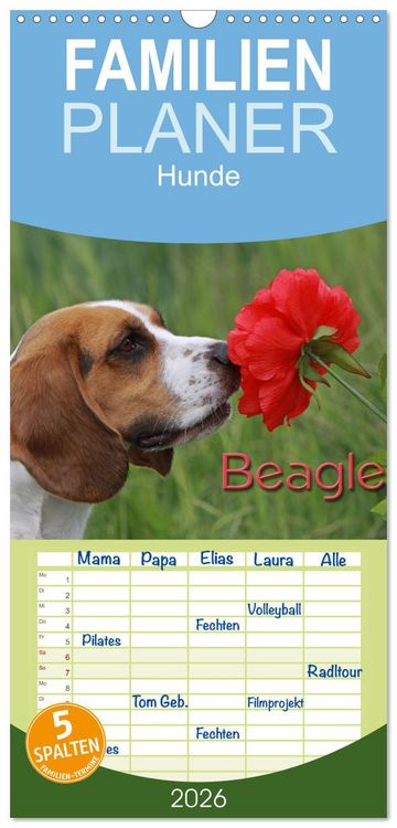 Produktbild: Familienplaner 2026 - Beagle mit 5 Spalten (Wandkalender, 21 x 45 cm) CALVENDO