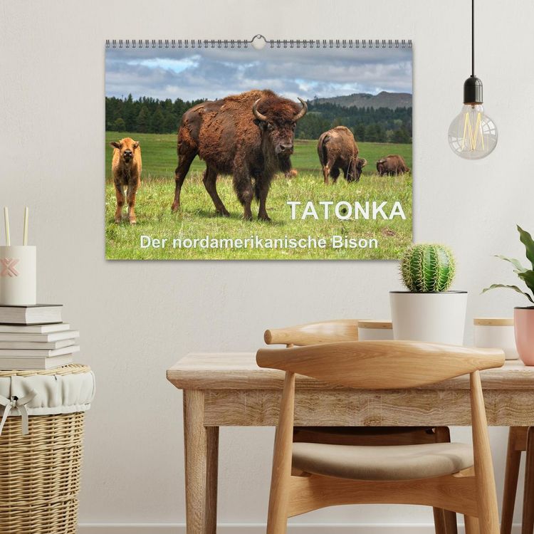 Produktbild: TATONKA Der nordamerikanische Bison (Wandkalender 2026 DIN A3 quer), CALVENDO Monatskalender