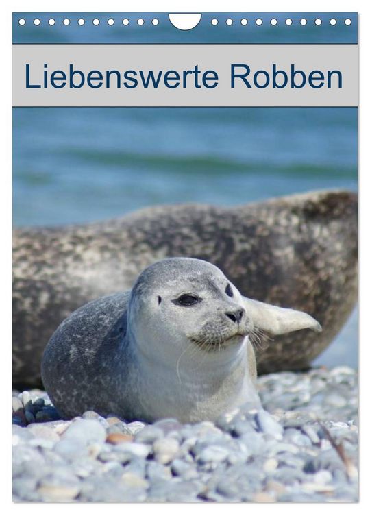 Produktbild: Liebenswerte Robben (Wandkalender 2026 DIN A4 hoch), CALVENDO Monatskalender