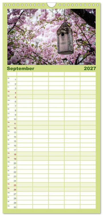Produktbild: Familienplaner 2027 - Fr&uuml;hlingsbl&uuml;her - Farbenpracht nach dem Winter mit 5 Spalten (Wandkalender, 21 x 45 cm) CALVENDO