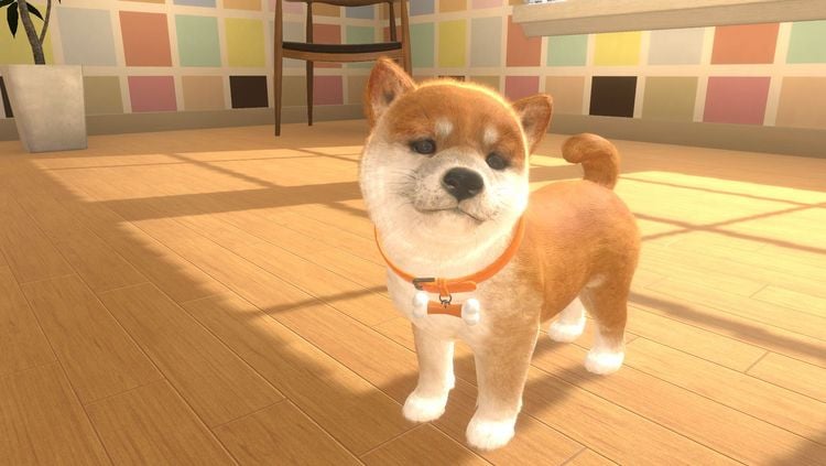 Produktbild: Little Friends - Dogs & Cats