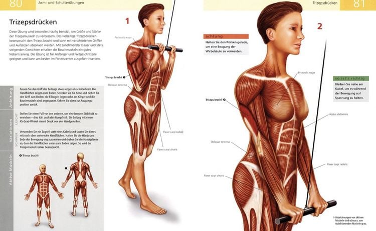Produktbild: Das Anatomie-Buch der Fitness