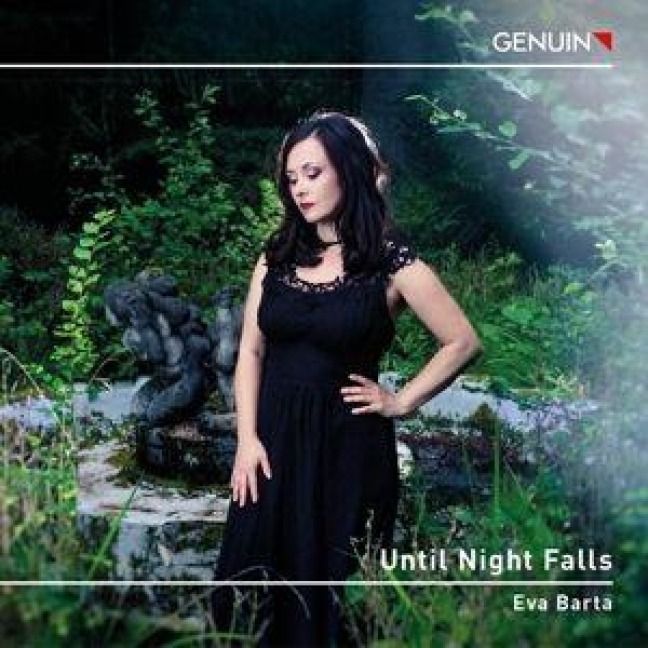 Produktbild: Until Night falls - Werke arr. f&uuml;r Klavier solo