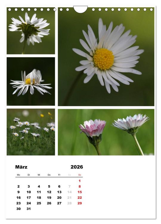 Produktbild: Bl&uuml;ten Collagen (Wandkalender 2026 DIN A4 hoch), CALVENDO Monatskalender