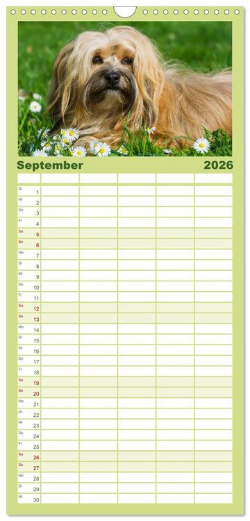 Produktbild: Familienplaner 2026 - Havaneser - Herz auf 4 Pfoten mit 5 Spalten (Wandkalender, 21 x 45 cm) CALVENDO