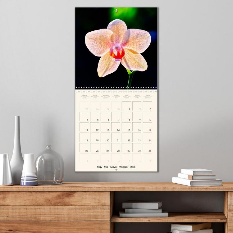 Produktbild: Phalaenopsis, la reine des Orchid&eacute;es (Calendrier mural carr&eacute; 2026 30x30 cm) Calendrier double avec une page pour vos prises de notes