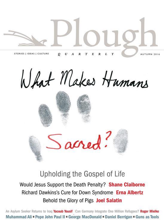 Produktbild: Plough Quarterly No. 10