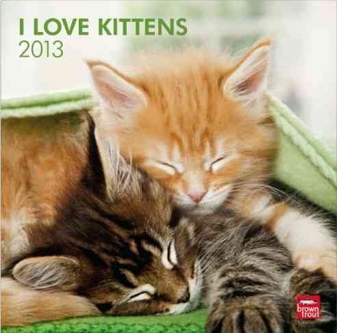 Produktbild: I love Kittens 2013