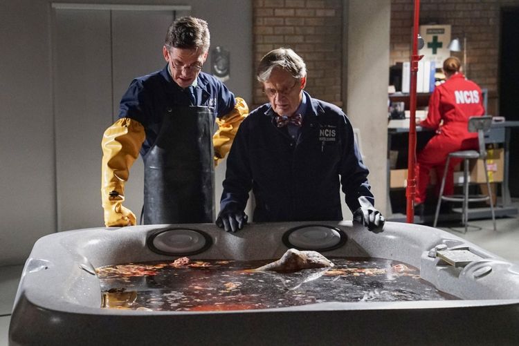 Produktbild: NCIS - Season 16 [6 DVDs]