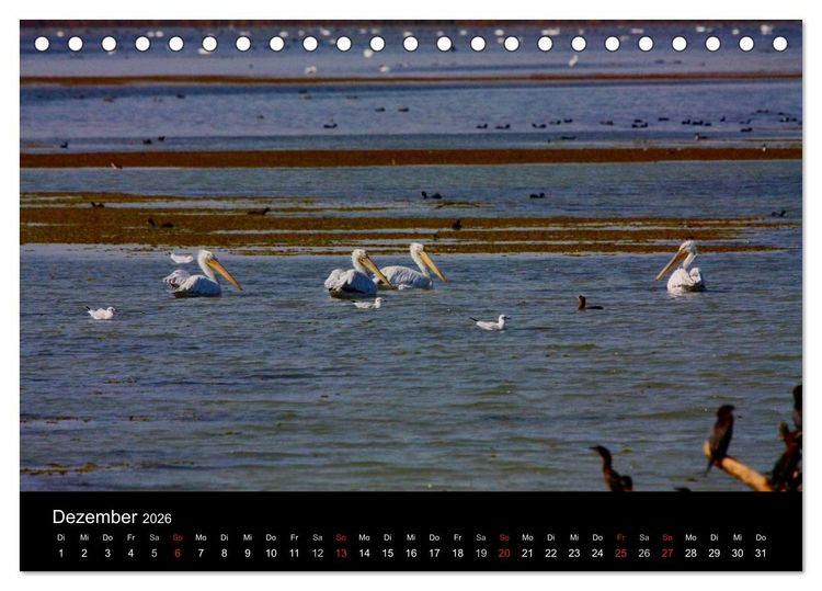 Produktbild: Donaudelta (Tischkalender 2026 DIN A5 quer), CALVENDO Monatskalender