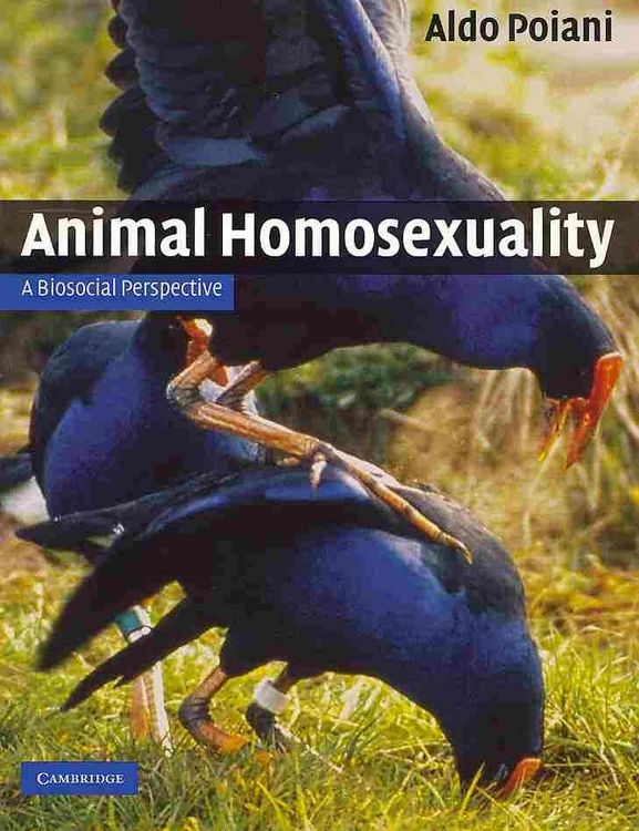 Produktbild: Animal Homosexuality