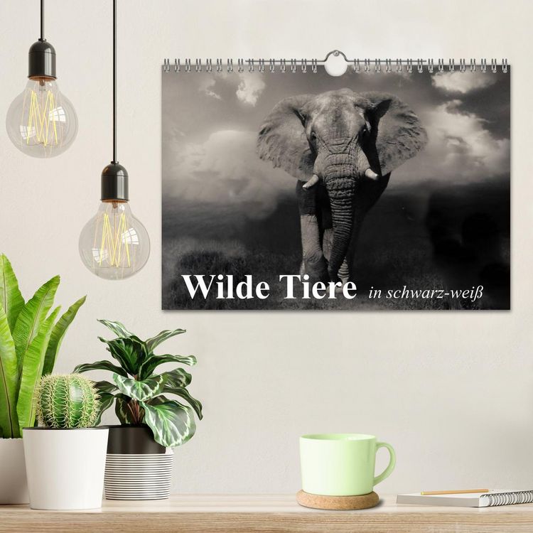 Produktbild: Wilde Tiere in schwarz-wei&szlig; (Wandkalender 2026 DIN A4 quer), CALVENDO Monatskalender