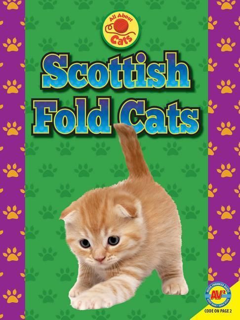 Produktbild: Scottish Fold Cats