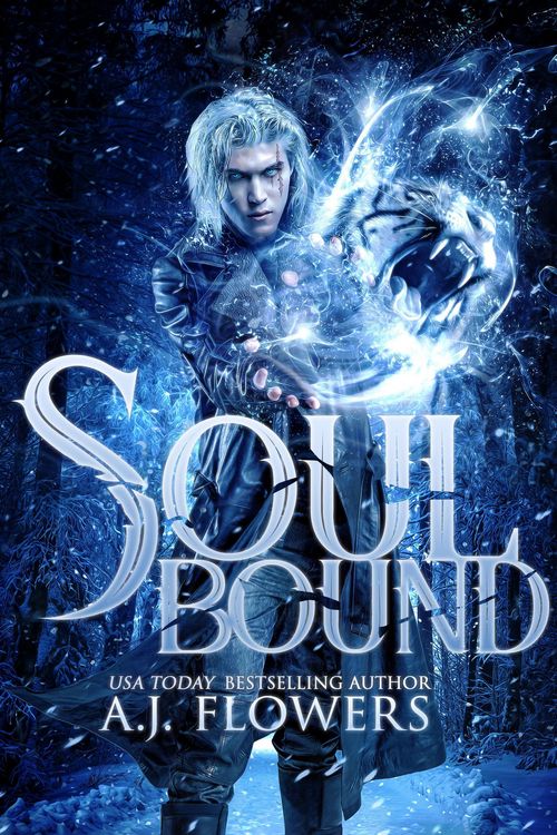 Produktbild: Soul Bound (Dweller Saga, #1)