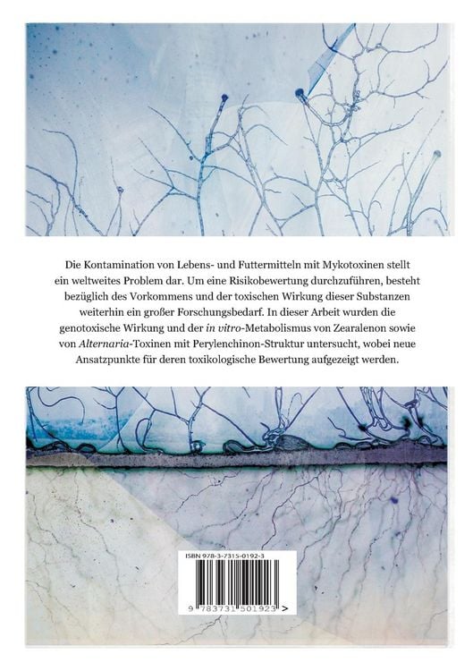 Produktbild: In vitro-Studien zum genotoxischen Potential und zum Metabolismus von Mykotoxinen mit Resorcyls&auml;urelakton- und Perylenchinon-Struktur