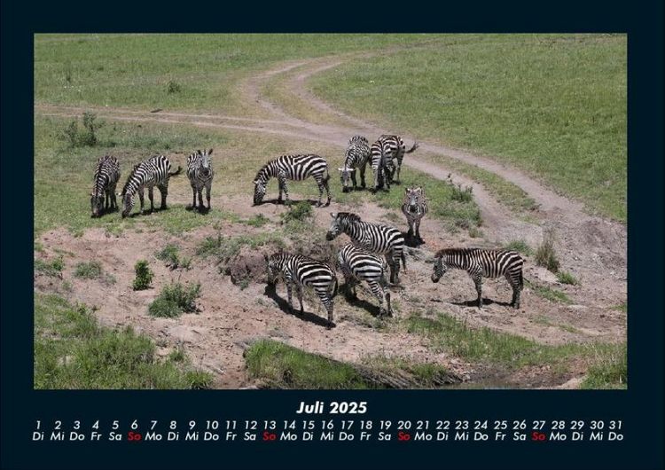 Produktbild: Zebrazauber 2025 Fotokalender DIN A4