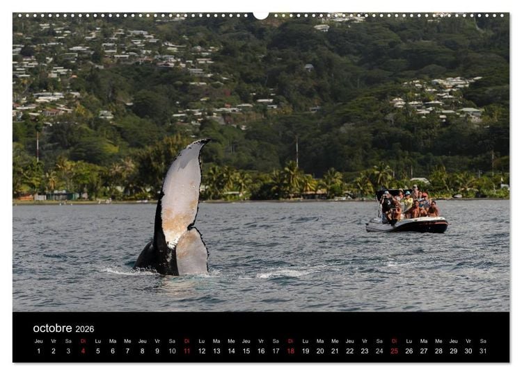Produktbild: Polyn&eacute;sie fran&ccedil;aise - Magie des &icirc;les (Calendrier mural 2026 DIN A2 vertical) calendrier de bureau