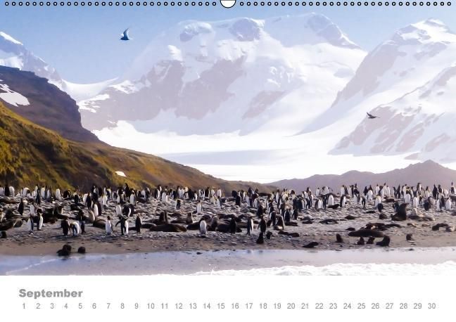 Produktbild: ANTARKTIS (Wandkalender immerw&auml;hrend DIN A2 quer)