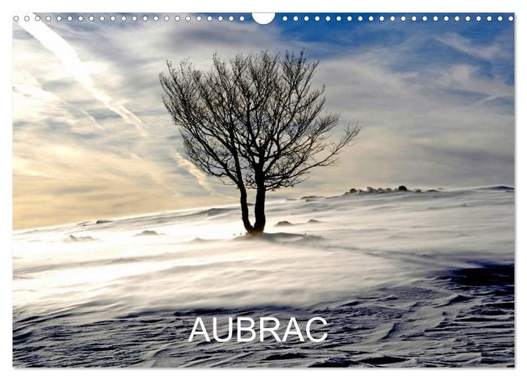 Produktbild: AUBRAC (Calendrier mural 2026 DIN A3 vertical), CALVENDO calendrier mensuel