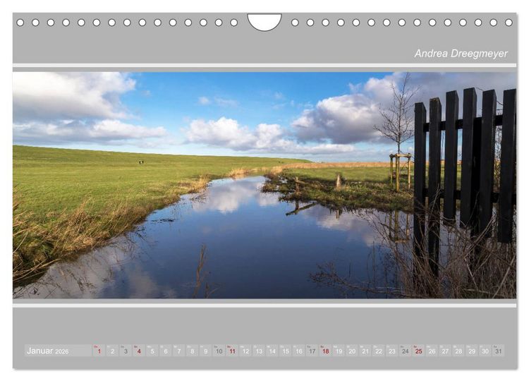 Produktbild: Krummh&ouml;rn im Panorama-Format (Wandkalender 2026 DIN A4 quer), CALVENDO Monatskalender