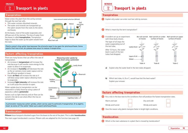 Produktbild: AQA GCSE 9-1 Biology Organise and Retrieve Your Knowledge