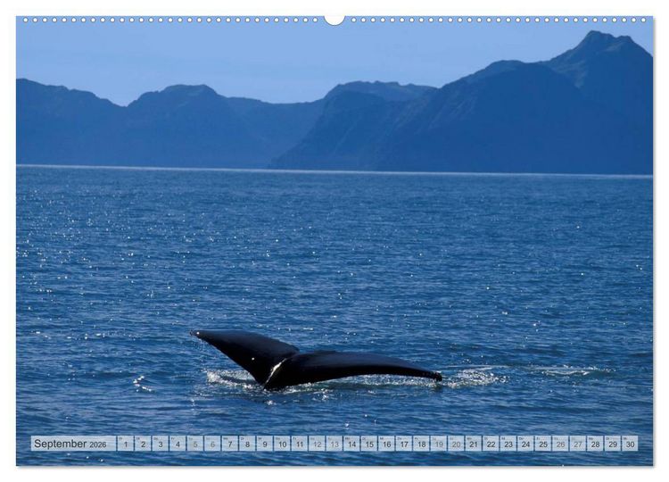 Produktbild: Wildes Alaska Christian Heeb (Wandkalender 2026 DIN A2 quer), CALVENDO Monatskalender