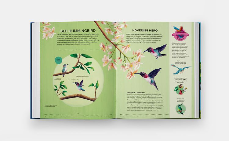 Produktbild: Nature's Tiny Champions