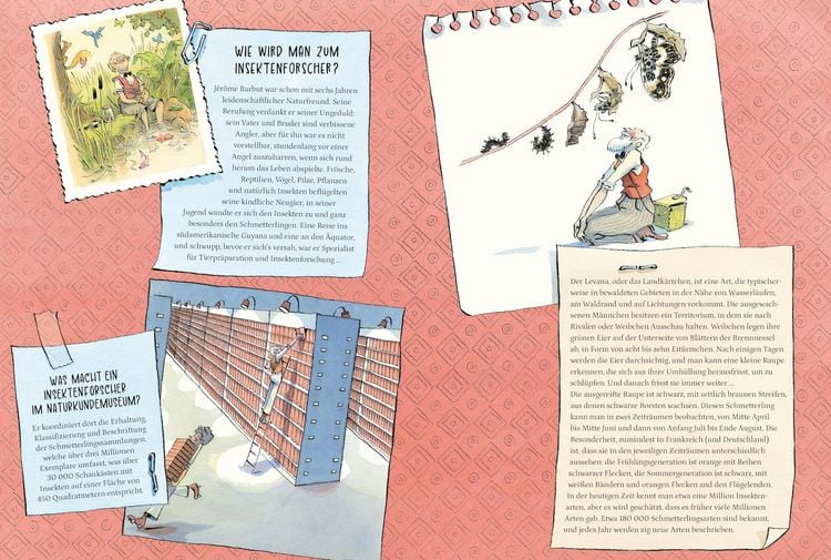 Produktbild: Die abenteuerliche Expedition des Professors Papillon