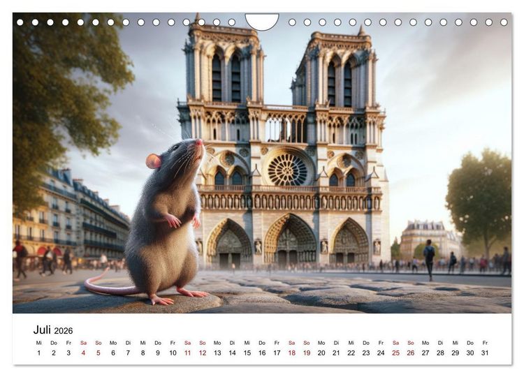Produktbild: Ratten auf Reisen (Wandkalender 2026 DIN A4 quer), CALVENDO Monatskalender