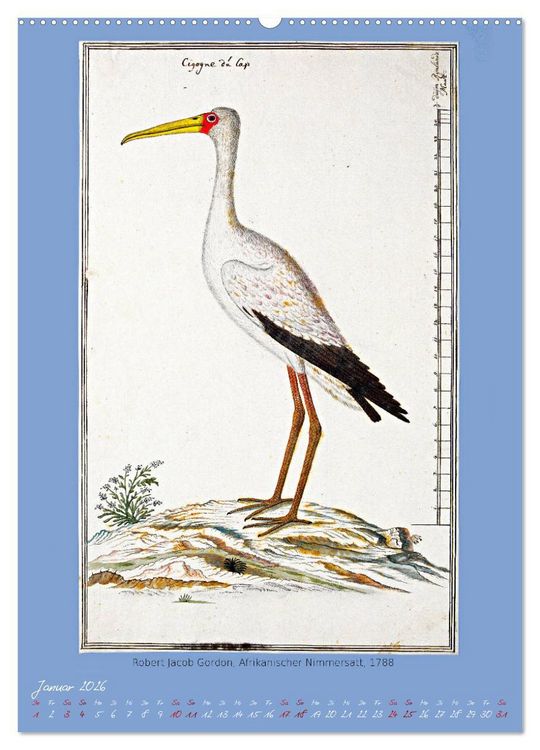 Produktbild: V&ouml;gel des s&uuml;dlichen Afrika (hochwertiger Premium Wandkalender 2026 DIN A2 hoch), Kunstdruck in Hochglanz