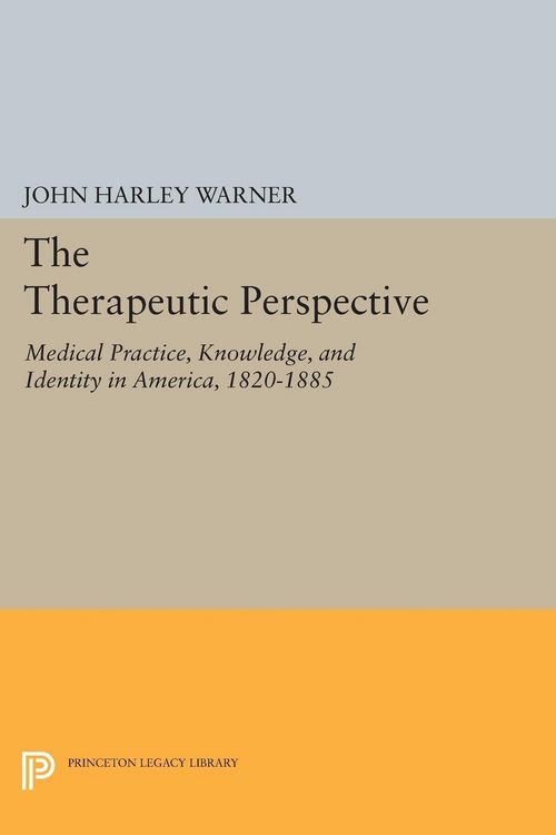 Produktbild: The Therapeutic Perspective
