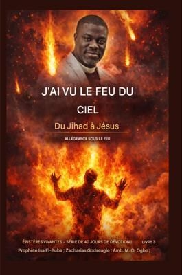 Produktbild: J'ai vu du feu du ciel