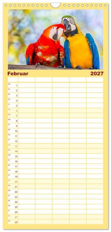 Produktbild: Familienplaner 2027 - Aras und bunte Sittiche: Exotische Papageien-Portr&auml;ts mit 5 Spalten (Wandkalender, 21 x 45 cm) CALVENDO