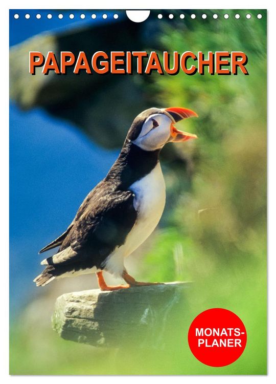 Produktbild: Papageitaucher Monatsplaner (Wandkalender 2026 DIN A4 hoch), CALVENDO Monatskalender