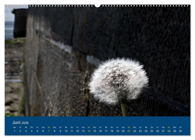 Produktbild: Die Nordmole in Wilhelmshaven. Historisches Relikt und Lieblingsort. (hochwertiger Premium Wandkalender 2026 DIN A2 quer), Kunstdruck in Hochglanz