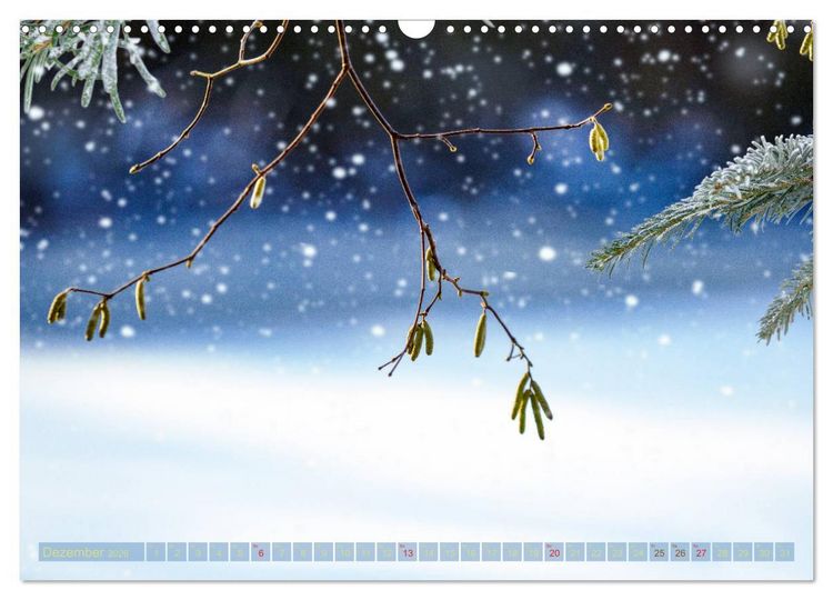 Produktbild: Natursch&ouml;nheiten - mit Bl&uuml;ten und Pflanzen durch das Jahr (Wandkalender 2026 DIN A3 quer), CALVENDO Monatskalender