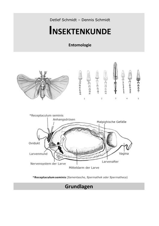 Produktbild: Insektenkunde