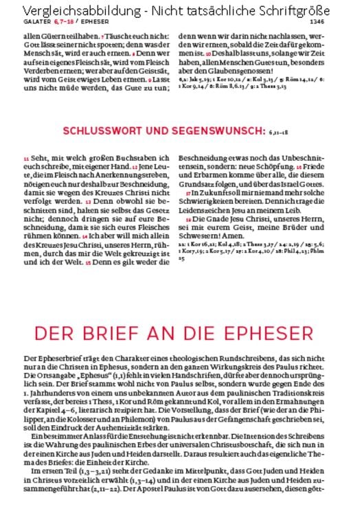 Produktbild: Die Bibel. Mit Sonderseiten für junge Menschen.