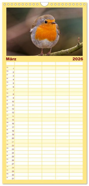 Produktbild: Familienplaner 2026 - Rotkehlchen - Fotografiert von Ostfriesenfotografie mit 5 Spalten (Wandkalender, 21 x 45 cm) CALVENDO