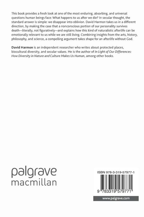 Produktbild: A Naturalistic Afterlife