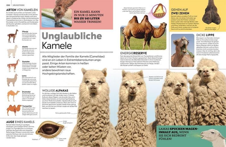 Produktbild: Memo Wissen. Tiere