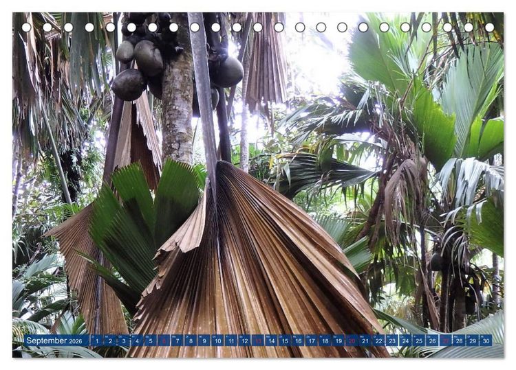 Produktbild: Seychellen - Wild und Sch&ouml;n (Tischkalender 2026 DIN A5 quer), CALVENDO Monatskalender