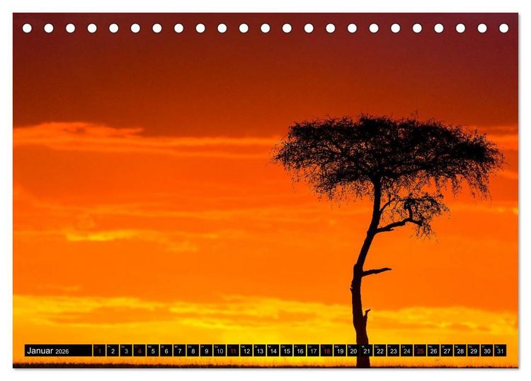 Produktbild: Masai Mara 2026 (Tischkalender 2026 DIN A5 quer), CALVENDO Monatskalender